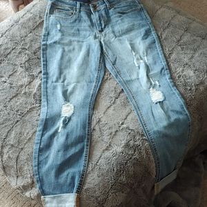 Indigo Rein Ankle Jeans